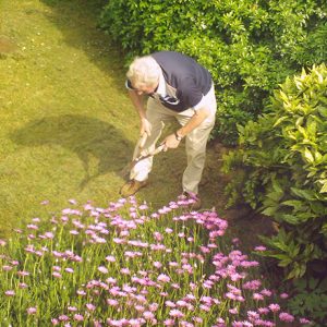Man gardening